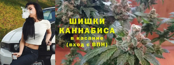 ПСИЛОЦИБИНОВЫЕ ГРИБЫ Баксан