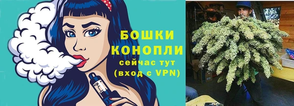 СК Арсеньев