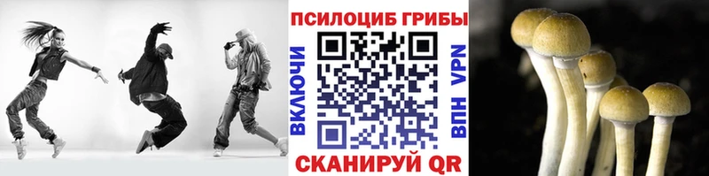 Псилоцибиновые грибы мицелий купить закладку Учалы